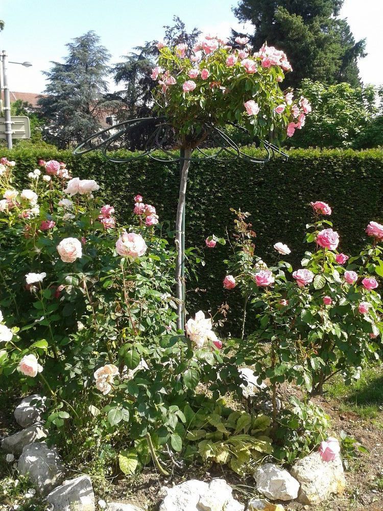 Cit'hotel Logis De Brou, En Bresse 3* Bourg-en-Bresse